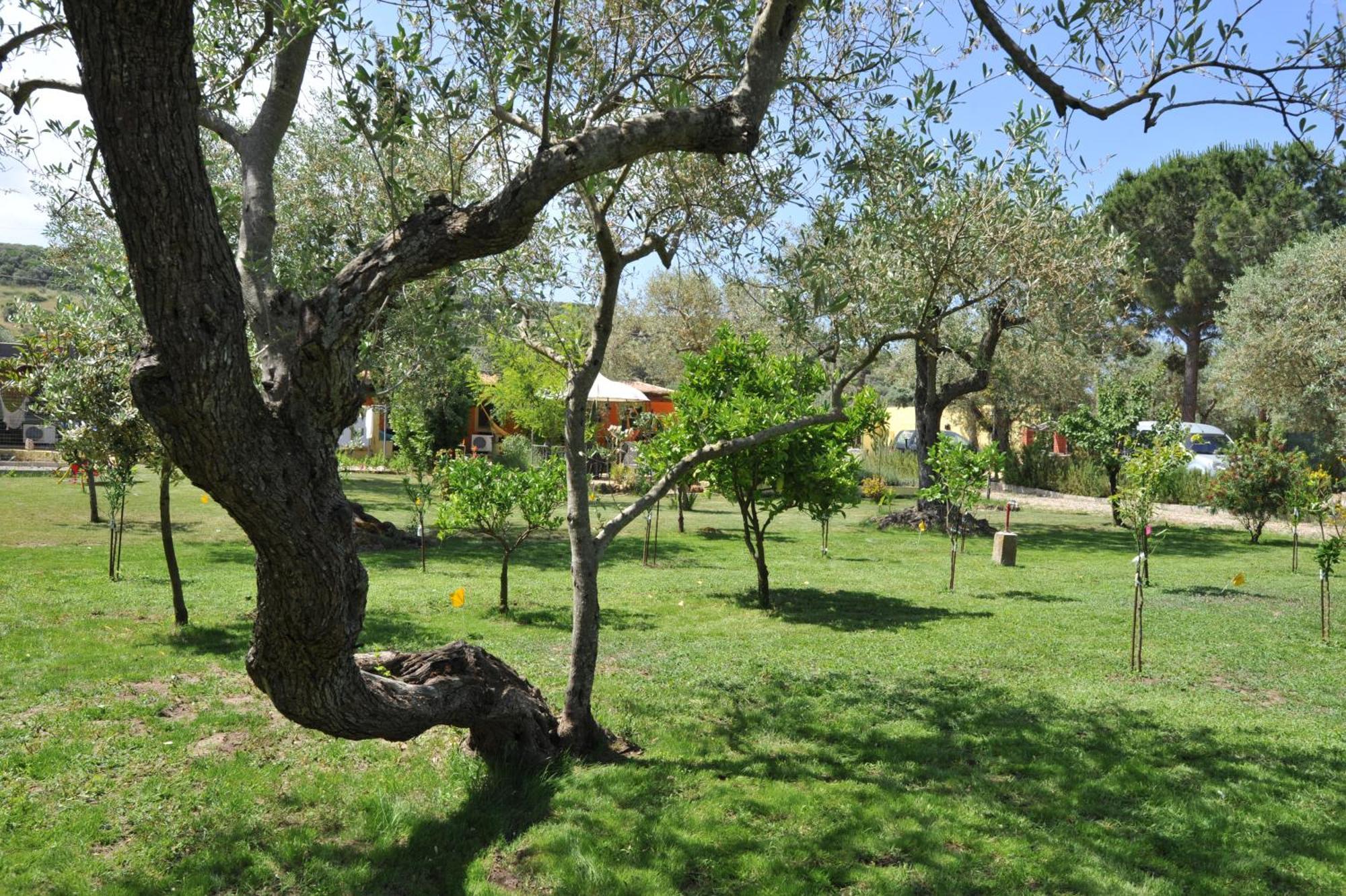 Butterfly House Bed & Breakfast Альгеро Экстерьер фото