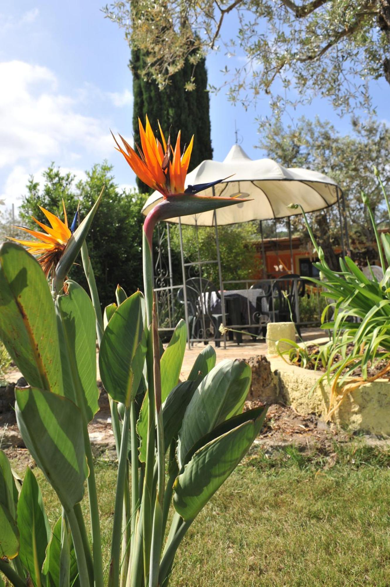 Butterfly House Bed & Breakfast Альгеро Экстерьер фото